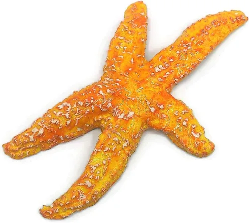 Vista 7 de 1Pc Handmade Ceramic Starfish Tile, Coastal Wall Decor for Home, Swimingpool Aquarium or Fish Tank, Beach Lover Gift for Women