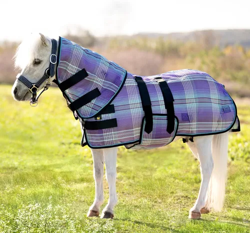 Vista 4 de Kensington KPP cobija para caballos pequeños