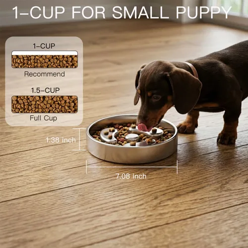 Vista 4 de Cuencos para perros de alimentación lenta, 1 taza para cachorros pequeños 1-Paquete