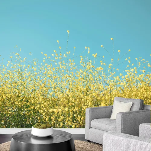 Vista 18 de wall26 Adhesivo mural removible para pared, diseño escénico de flores silvestres rosa, campo de jardín, naturaleza, fotografía, realismo