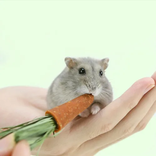 Vista 3 de GANAZONO Conejo masticable zanahorias animales pequeños palitos de dentición hámster masticar juguetes naturales cuidado dental mascota masticable