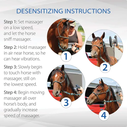 Vista 4 de Core Products Equisports Masajeador de velocidad variable calmante para tejido profundo para caballos y equinos