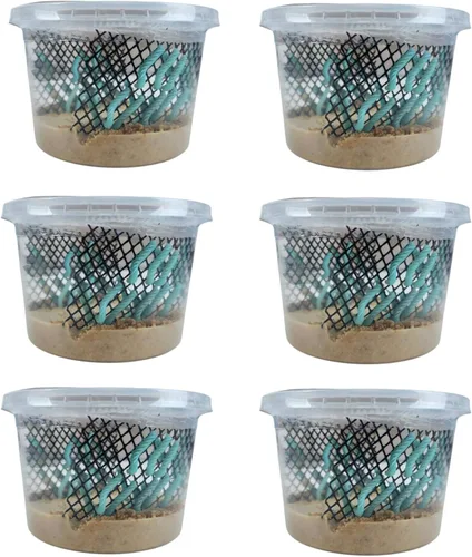 Vista 8 de Josh's Frogs Hornworms Habitat Cup (taza de 12 unidades)