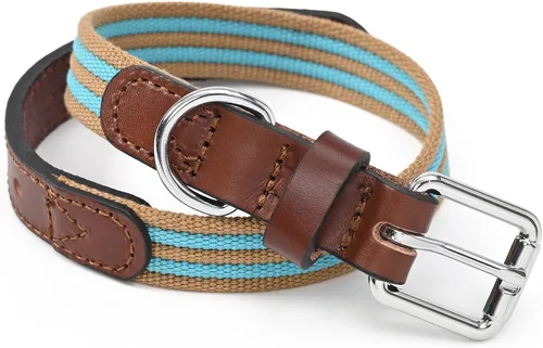 Vista 18 de Mile High Life Collar ajustable de polialgodón suave y fuerte con hebilla de liberación rápida para perros pequeños a grandes