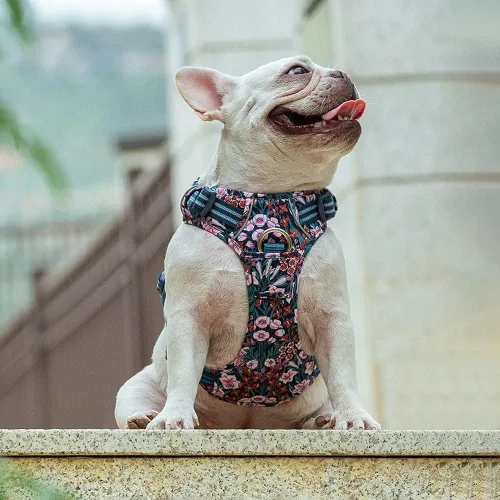 Vista 8 de Arnés reflectante sin tirones para perro, con asa y clip frontal, arnés acolchado de neopreno para cachorros, perros pequeños, medianos y grandes, 3
