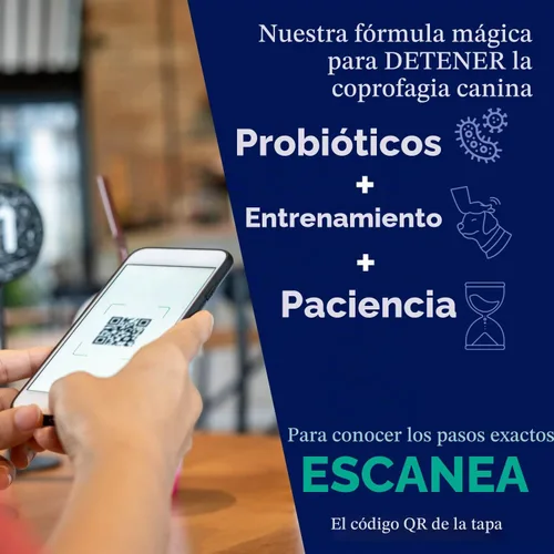 Vista 9 de Probiótico - Tratamiento de coprofagia para perros - Detén y evita que el perro coma caca - No comer heces, disuasorio y prevención - Probióticos