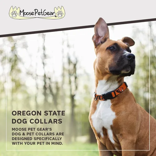 Vista 2 de Oregon State University Beavers - Collar de perro con licencia universitaria, ajustable, 3/4 pulgadas de ancho, pequeño, naranja