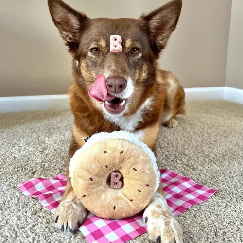 Vista 5 de CHEWFFON Juguetes de peluche para perros con sonido, juguete interactivo en forma de bagel para cachorros, lindo rompecabezas para perros