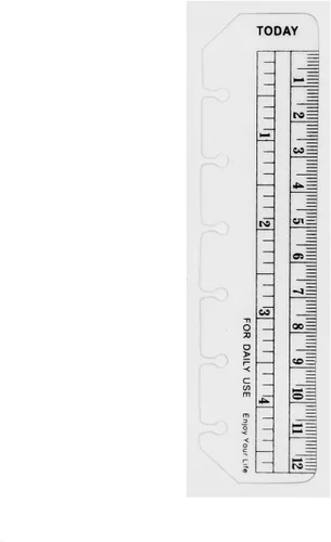 Vista 13 de A5 Today Ruler 01 (negro, 1 unidad)