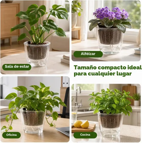 Vista 7 de Macetas transparentes de riego automático para plantas de interior, paquete de 3 macetas de riego automático de 6.7 pulgadas, macetas transparentes