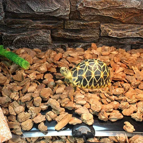 Vista 3 de Hamiledyi Almohadilla térmica de reptiles de 14 W, 2 unidades, calentador con ajuste de control de temperatura debajo del tanque de 11 x 11