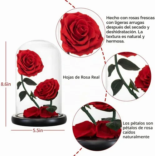 Vista 5 de Regalos para mujeres, rosa roja preservada para siempre, regalo de cumpleaños, día de San Valentín, con flor eterna roja en cúpula de cristal #Rojo