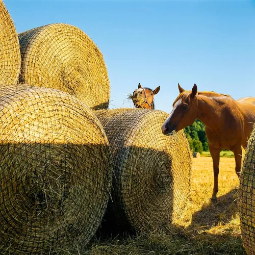 Vista 8 de FRUITEAM Red de heno de pacas redondas de 6 pies para caballos, alimentador de pacas redondas con agujero de 2 pulgadas, redes de heno para caballos