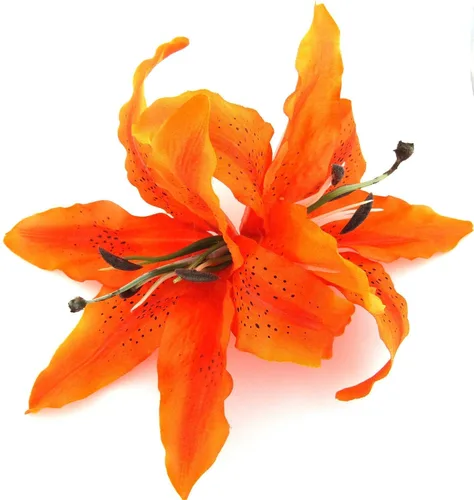 Vista 3 de Pinza para el cabello de seda de lirio de tigre naranja de 8 pulgadas XL doble