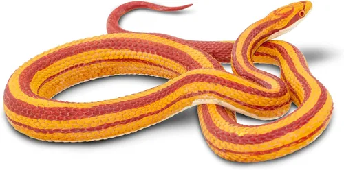 Vista 5 de Safari Ltd. Figura de serpiente de maíz, figura realista de modelo de 5.25 pulgadas, juguete educativo para niños, niñas y niños a partir de 3 años