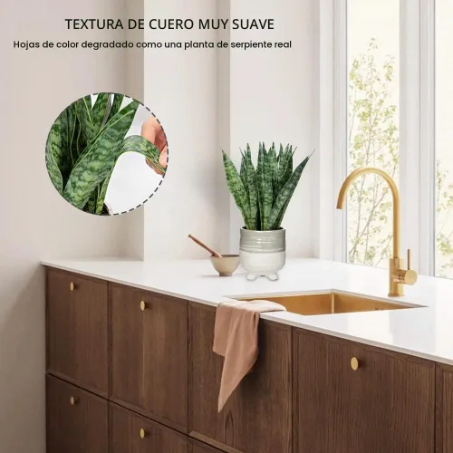 Vista 5 de Hollyone Planta de serpiente falsa de 12 pulgadas, pequeña planta de serpiente artificial en maceta con maceta de cerámica, planta Sansevieria