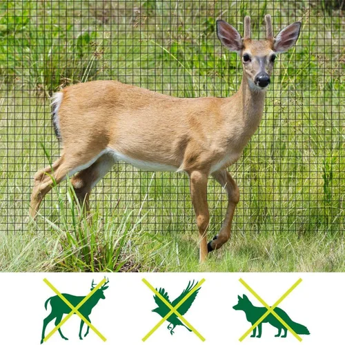 Vista 2 de Feitore - Red de malla para ciervos, 7 x 100 pies, red de protección anti pájaros, red de jardín reutilizable, protección para plantas, árboles