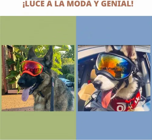 Vista 6 de Gafas de sol para perros medianos con correa ajustable, protección UV, gafas de sol para cachorros a prueba de viento, adecuadas para mascotas