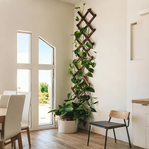 Vista 7 de Enrejado de jardín expandible, enrejado de madera grueso de 13 x 68 pulgadas para plantas trepadoras, hiedra al aire libre, vid, rosa, clemátide