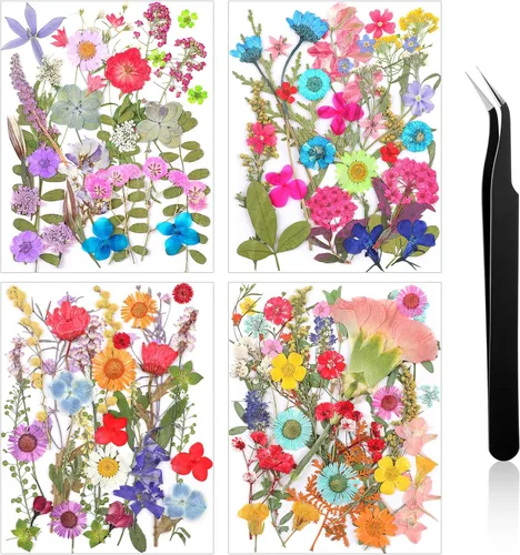 Vista 27 de Nuanchu Flores secas prensadas negras para manualidades, flores secas góticas, flores silvestres prensadas naturales a granel con pinzas para molde