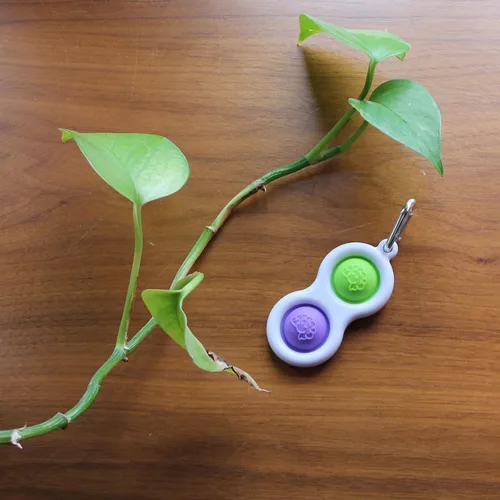 Vista 3 de Fat Brain Toys Simpl Dimpl - Simple Dimple - Morado/Lima - Llavero para ansiedad