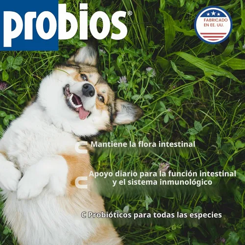 Vista 2 de Probios Apoyo Digestivo Probiótico para Todas las Especies, Probióticos para la Salud Intestinal, Polvo Dispersable, 240 g