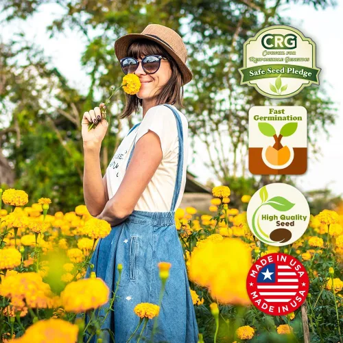 Vista 4 de Mezcla de semillas de flores silvestres fragantes, 1 oz, semillas aromáticas anuales y perennes de flores silvestres - Crea el jardín perfecto.