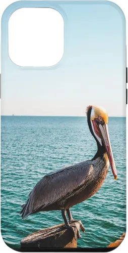 Vista 25 de iPhone 11 Pelican Case