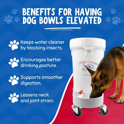 Vista 8 de Tazón automático para agua, 3.5 galones, dispensador de agua para perro, prácticamente indestructible, utilizado por cuidadores de perros