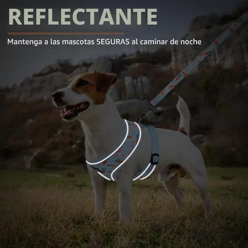 Vista 6 de PUPTECK Juego de arnés y correa de malla suave para perro, cachorro y gato, cómodo chaleco acolchado sin tirones, azul Pascua, S
