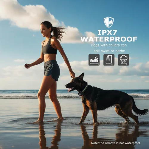 Vista 6 de Collar de choque para perro, collar de entrenamiento para perros con control remoto para perros pequeños, medianos y grandes, collar electrónico