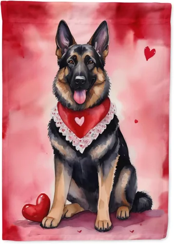 Vista 145 de Caroline's Treasures DAC5252GF Affenpinscher - Bandera de jardín con texto en inglés "My Valentine", bandera decorativa para patio exterior, patio