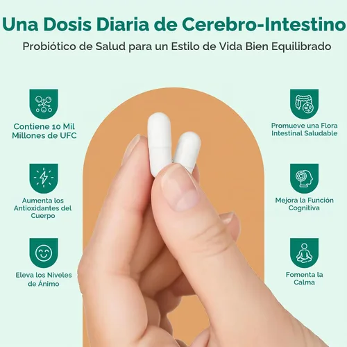 Vista 5 de InnerAxis - Probiótico 2 en 1 para la salud cerebral e intestinal, 10 mil millones de UFC, 8 cepas simbióticas para el intestino, psicobiótico