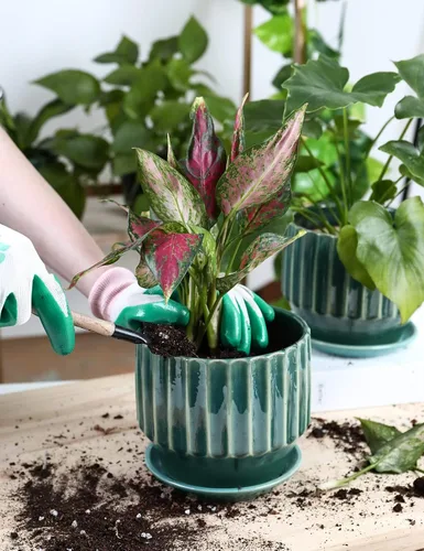 Vista 6 de AISBUGUR Macetas de cerámica de 6 pulgadas para plantas de interior, juego de 2 macetas de diseño único de esmalte agrietado con orificio de drenaje