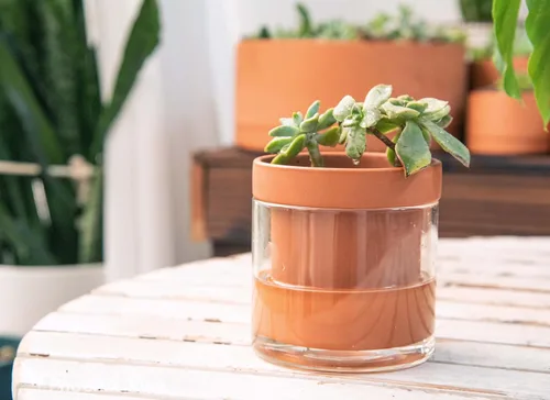 Vista 5 de Phoenix Vine Maceta de riego automático de 4 pulgadas, maceta de arcilla de terracota con depósito de vidrio para plantas de interior, hierbas