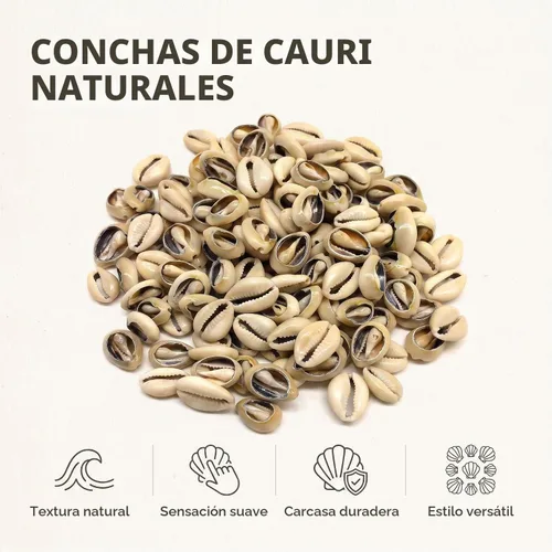 Vista 4 de 100 cuentas de conchas de cauri naturales blancas y Lvory ovaladas para playa, conchas africanas para hacer joyas para el cabello, manualidades