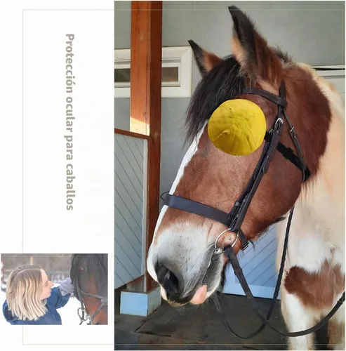 Vista 4 de Máscara de protección de ojos de caballo, protector de ojos de caballo, parche de ojo de caballo, anteojos de caballo para entrenamiento