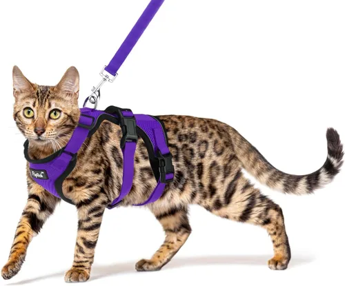 Vista 13 de PUPTECK Juego de arnés y correa para gato a prueba de escape para caminar, chaleco de malla transpirable arnés ajustable para gatos cachorros Negro