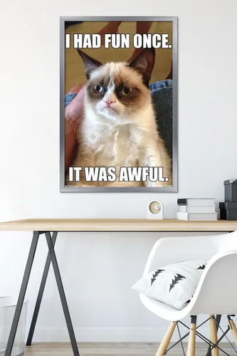 Vista 6 de Trends International Grumpy Cat - Póster de pared divertido, 22.375 x 34 pulgadas, versión enmarcada plateada Versión con marco plateado