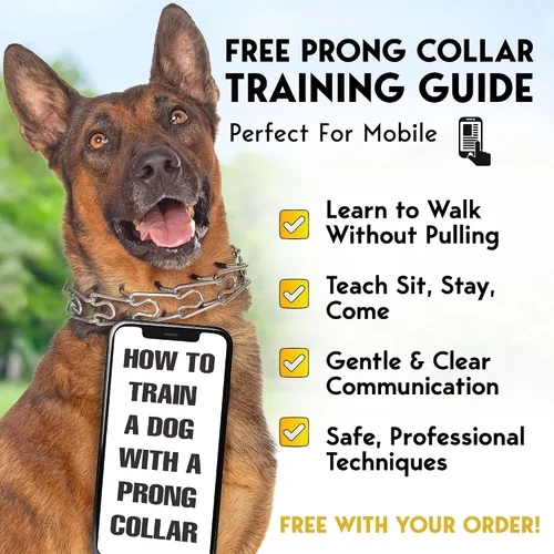 Vista 7 de PetJett Collar de Ahogo para Perros Collar de Entrenamiento Collar de Púas Ajustable para Perro Collar de Liberación Rápida de Pellizco para Perro
