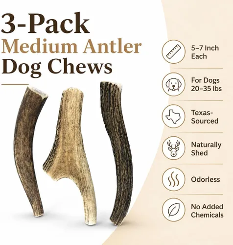 Vista 7 de Cuernos de ciervo medianos masticables para perros, 5-7 pulgadas, paquete de 3, fabricados en Texas