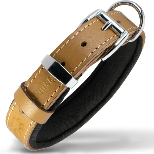 Vista 28 de Filbert Collar de cuero para perro, collar de cuero genuino para perros pequeños, estampado de patas en relieve con hebilla, grano completo curtido