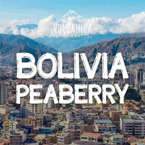 Vista 2 de Bolivia Peaberry Coffee, Caranavari, molido, tostado fresco, 16 onzas