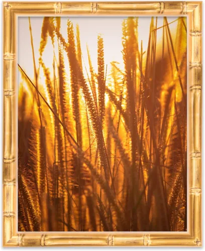 Vista 4 de CountryArtHouse Marco de madera maciza de bambú dorado de 17 x 24 pulgadas, incluye plexiglás acrílico UV, tablero de espuma libre de ácido