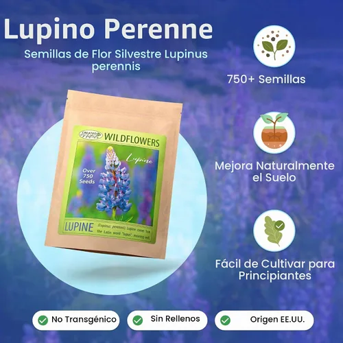 Vista 2 de Created by Nature Blue Lupine Seeds, 750 semillas de flores silvestres perennes