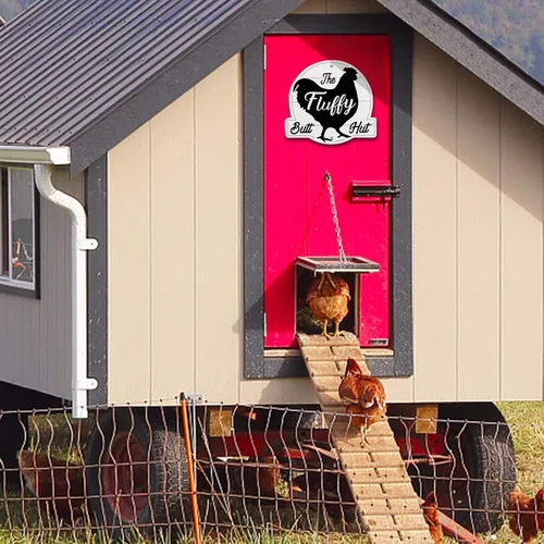 Vista 2 de The Fluffy Butt Hut Signs,cartel de gallinero, decoración de cobertizo de pollo para el hogar (blanco)