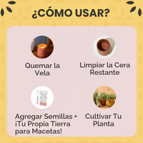 Vista 2 de Modern Sprout Rooted Candle - Vela perfumada de madera de cedro 2 en 1 y soja con semillas que crece en planta de lavanda, 6 onzas con 42 horas