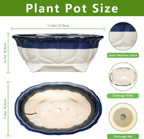 Vista 2 de Macetas suculentas de 11 pulgadas, macetas de cerámica para bonsái con orificio de drenaje, maceta bonsái para plantas de interior y exterior