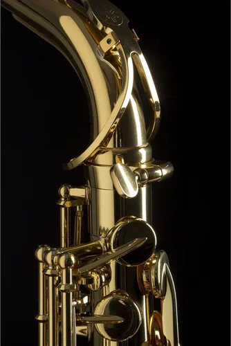 Vista 3 de YAMAHA YAS-280 Saxofones Student Saxofones Alto, llave C, oro