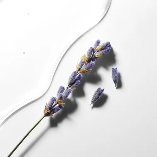 Vista 8 de Olay Crema hidratante para el rostro con aceite esencial de lavanda, 16 onzas